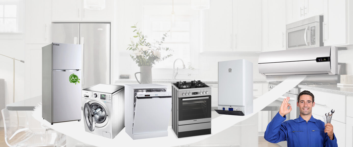 Bayrampaşa Electrolux Servisi